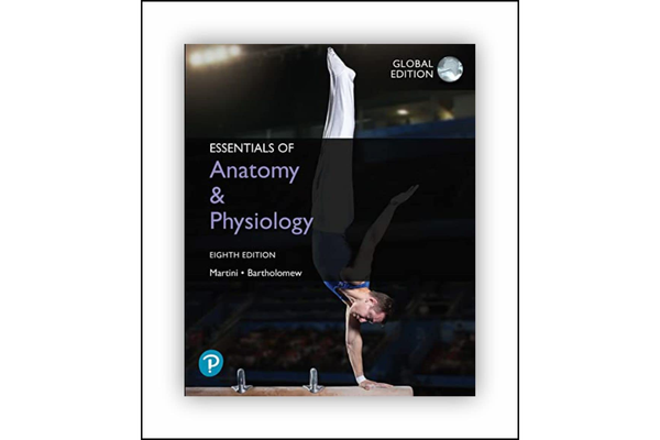 Essentials of Anatomy & Physiology 8th Edition